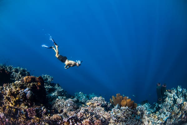 Reconnect island moment