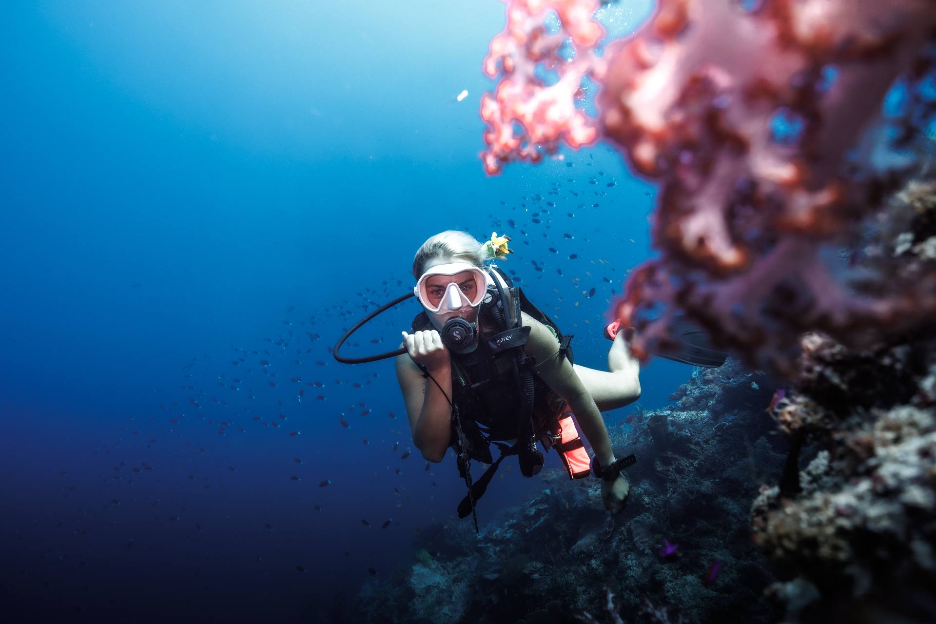 Le forfait Dive-cation