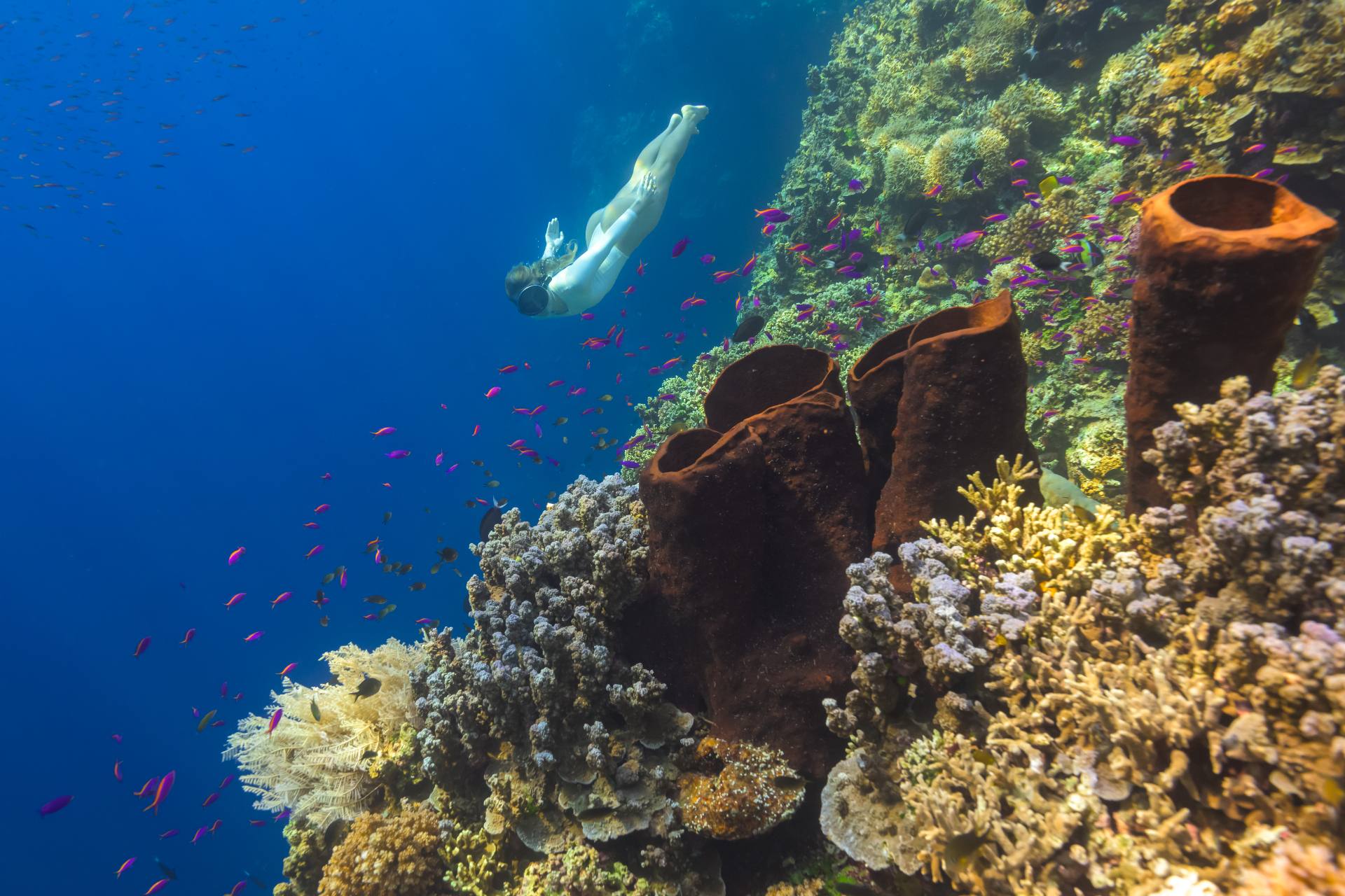 Snorkeling at Buka Buka Island
